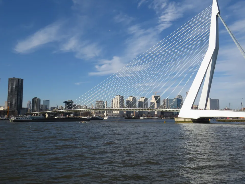 Erasmusbrug over de Maas in Rotterdam